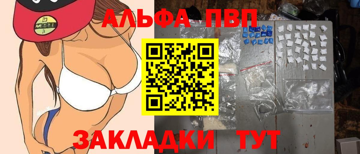A PVP СК КРИС Елец