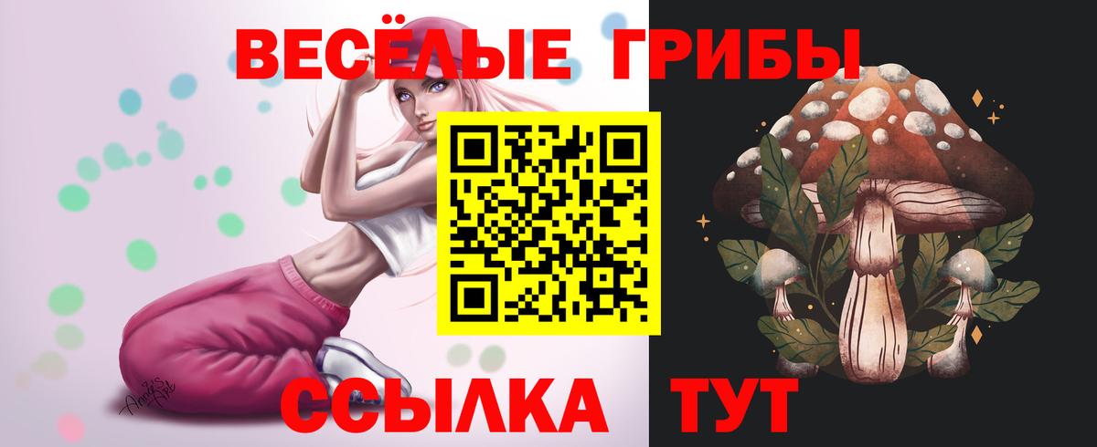 Елец  Псилоцибиновые грибы Psilocybe  закладка  Вход с VPN 